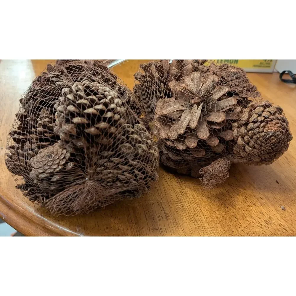 Two Pack of Pinecones Christmas/Other